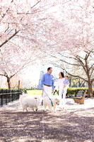 Kat Knight & Family: Cherry Blossoms 2023