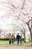 Nellie & Fam Cherry Blossoms 2023
