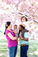Ebi Family - Cherry Blossoms 2022