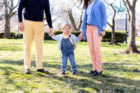 Meers Family {cherry blossom 2024}